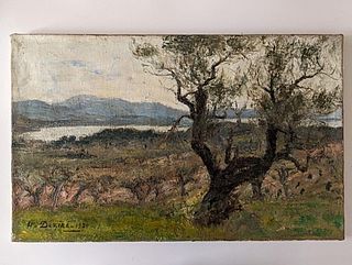 Agrandir l'image (fenêtre modale)